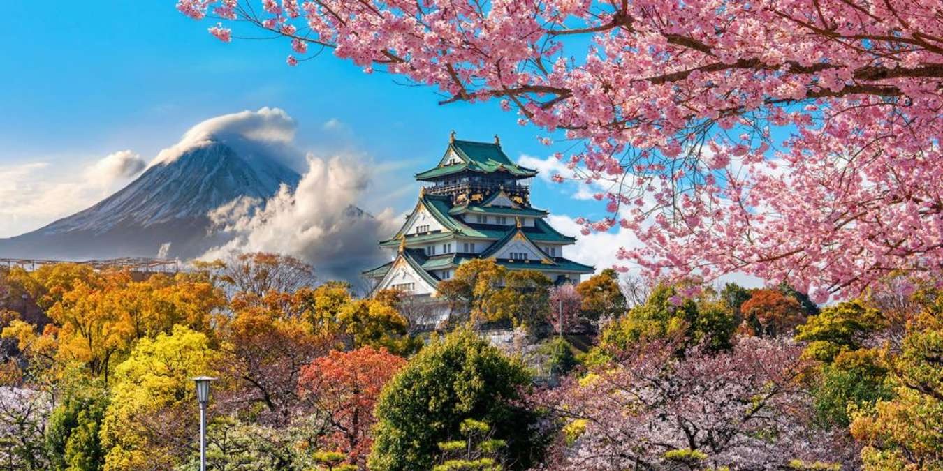 Tour Nhật Bản Ngắm Hoa Anh Đào: Osaka - Kobe - Kyoto - Nagoya- Núi Phú Sĩ - Tokyo